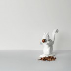 squirrel_hazelnuts_flat